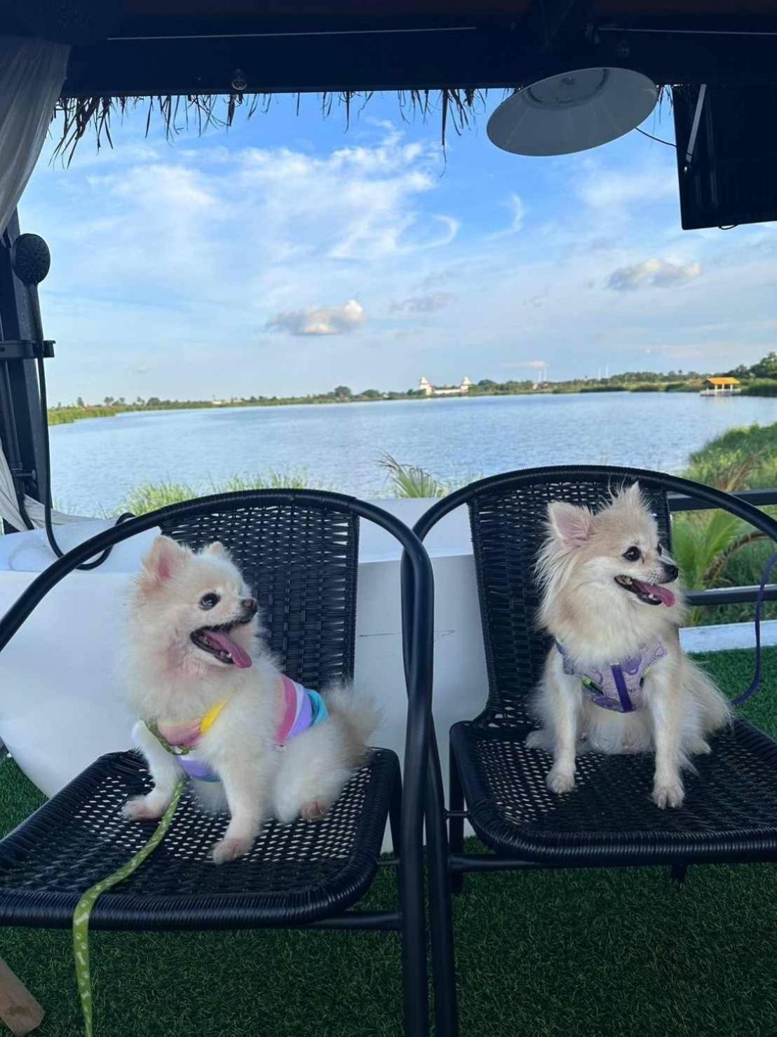 Pplakepool Biệt thự Bangkok
